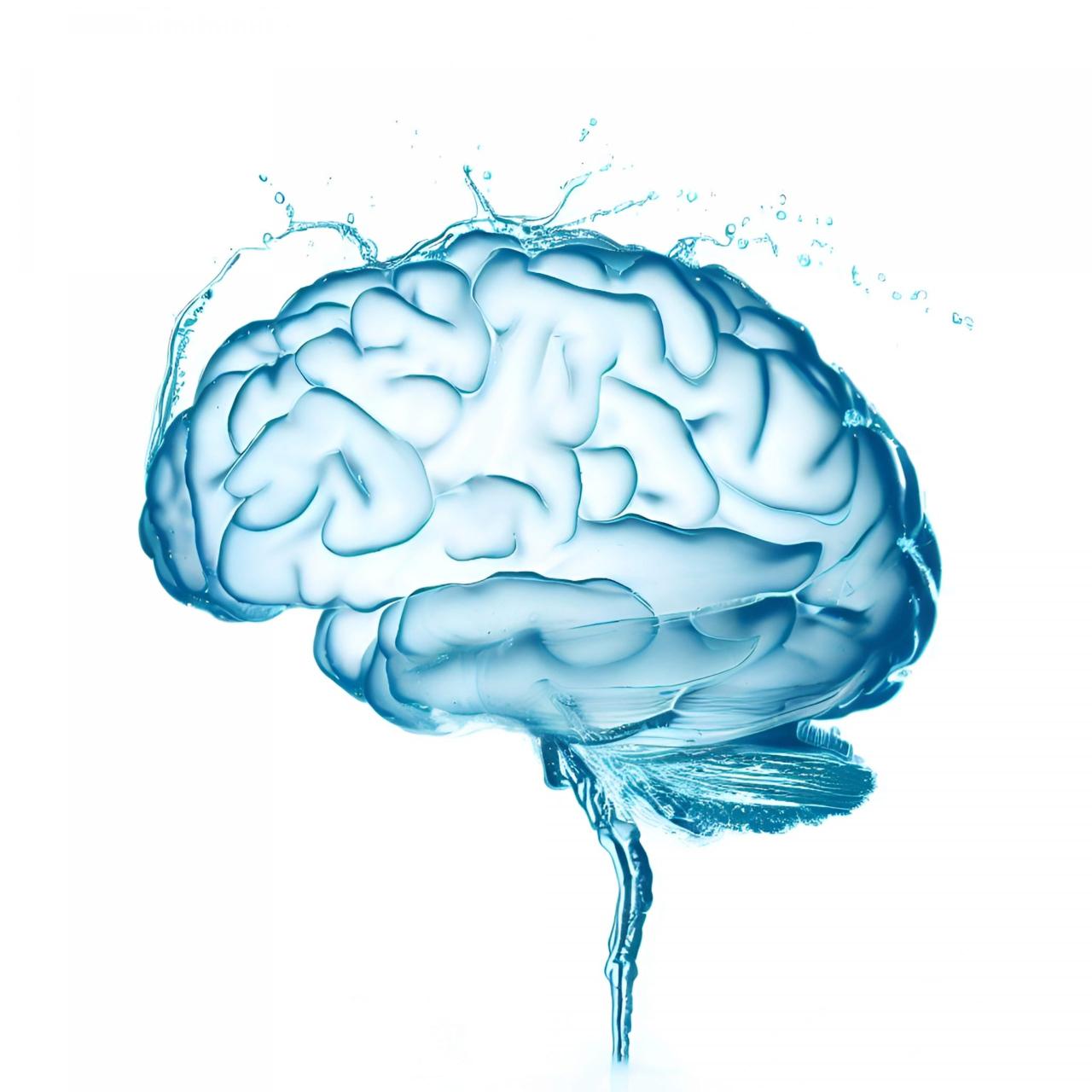 The Power of Hydration in Boosting Mental Clarity - MOTIVATIONS How Does Hydration Affect Mental Clarity And Focus