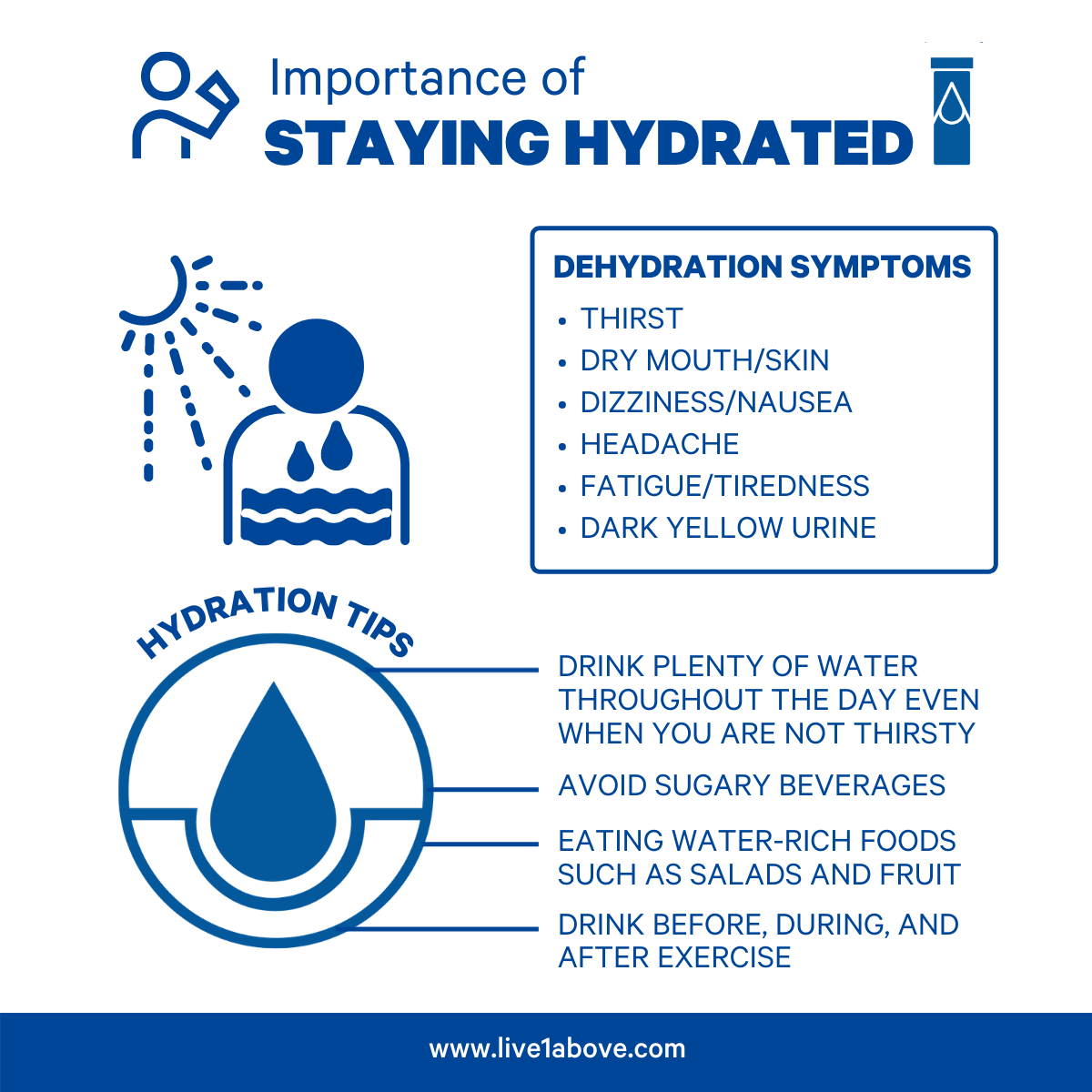 Importance Of Hydration For Overall Health