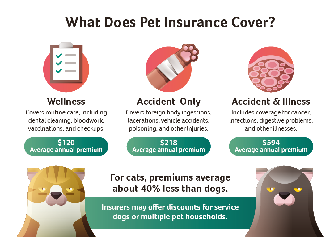 What should I know about pet insurance before purchasing