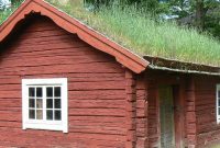 Best Methods For Enhancing Your Home Environment Naturally Best Methods For Enhancing Your Home Environment Naturally