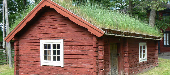 Greening Your Space: Eco-Friendly Home Upgrade Ideas Best Methods For Enhancing Your Home Environment Naturally