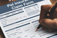 What should I know about pet insurance before purchasing