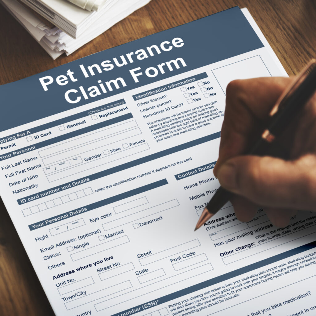 Understanding How To Use Pet Insurance: A Comprehensive Guide Understanding How To Use Pet Insurance: A Comprehensive Guide