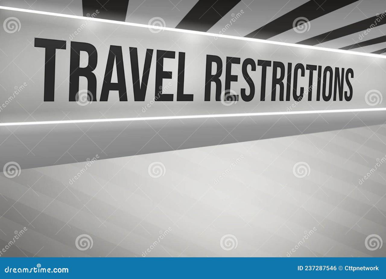 How To Navigate Travel Restrictions And Regulations Made Easy
